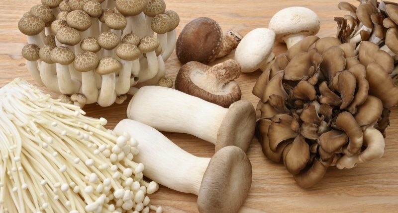 The Best Mushrooms for Health Supplements: What’s Right for You?