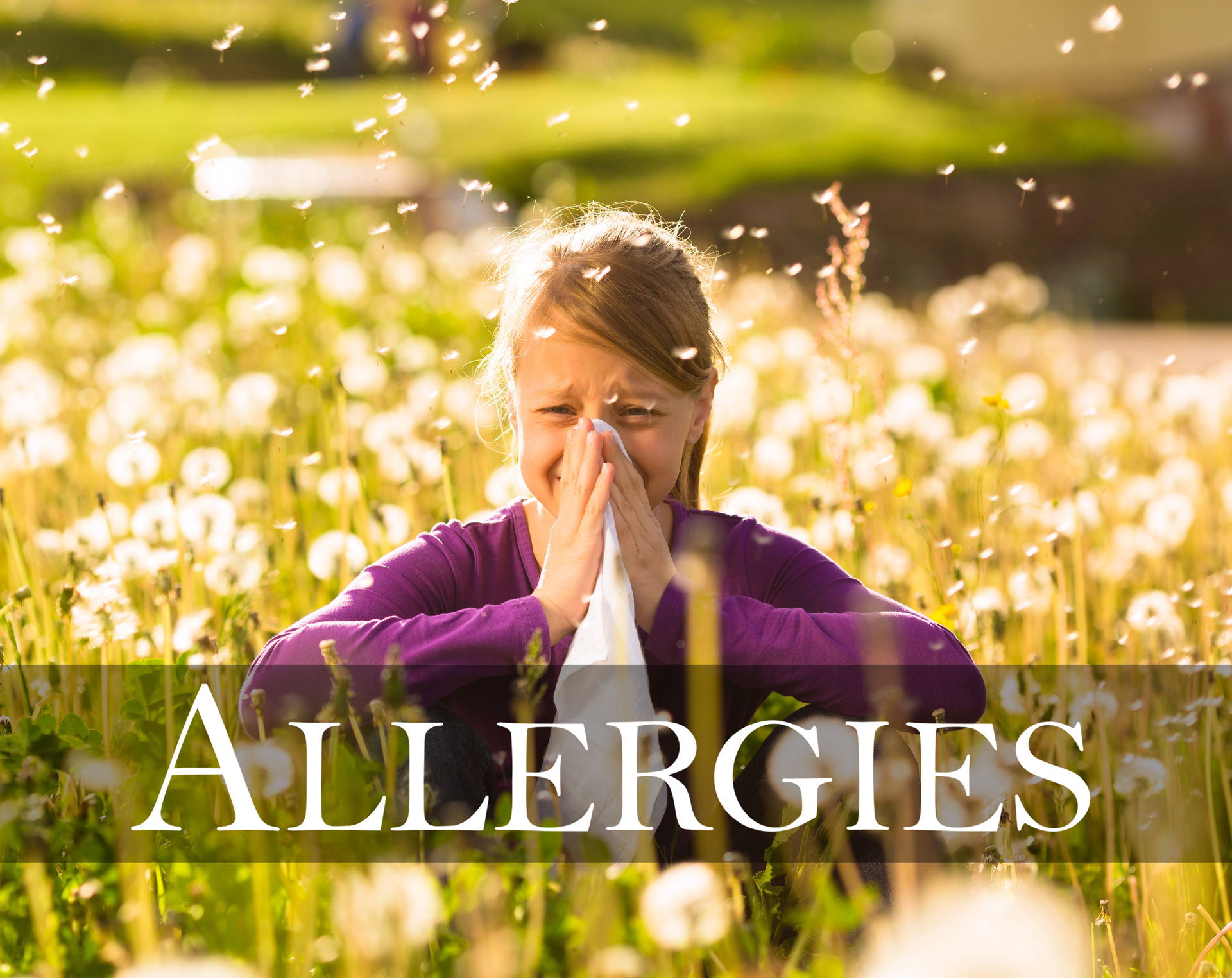 Tips for Seasonal Allergy Relief - Mushroom Wisdom Inc.